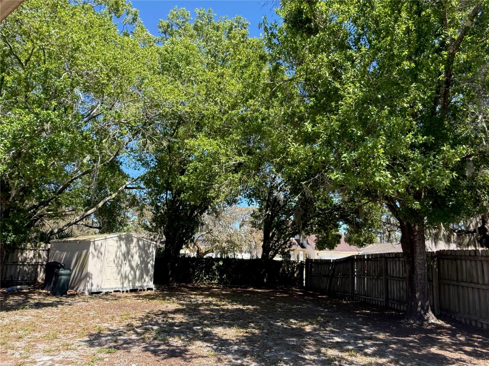 Backyard