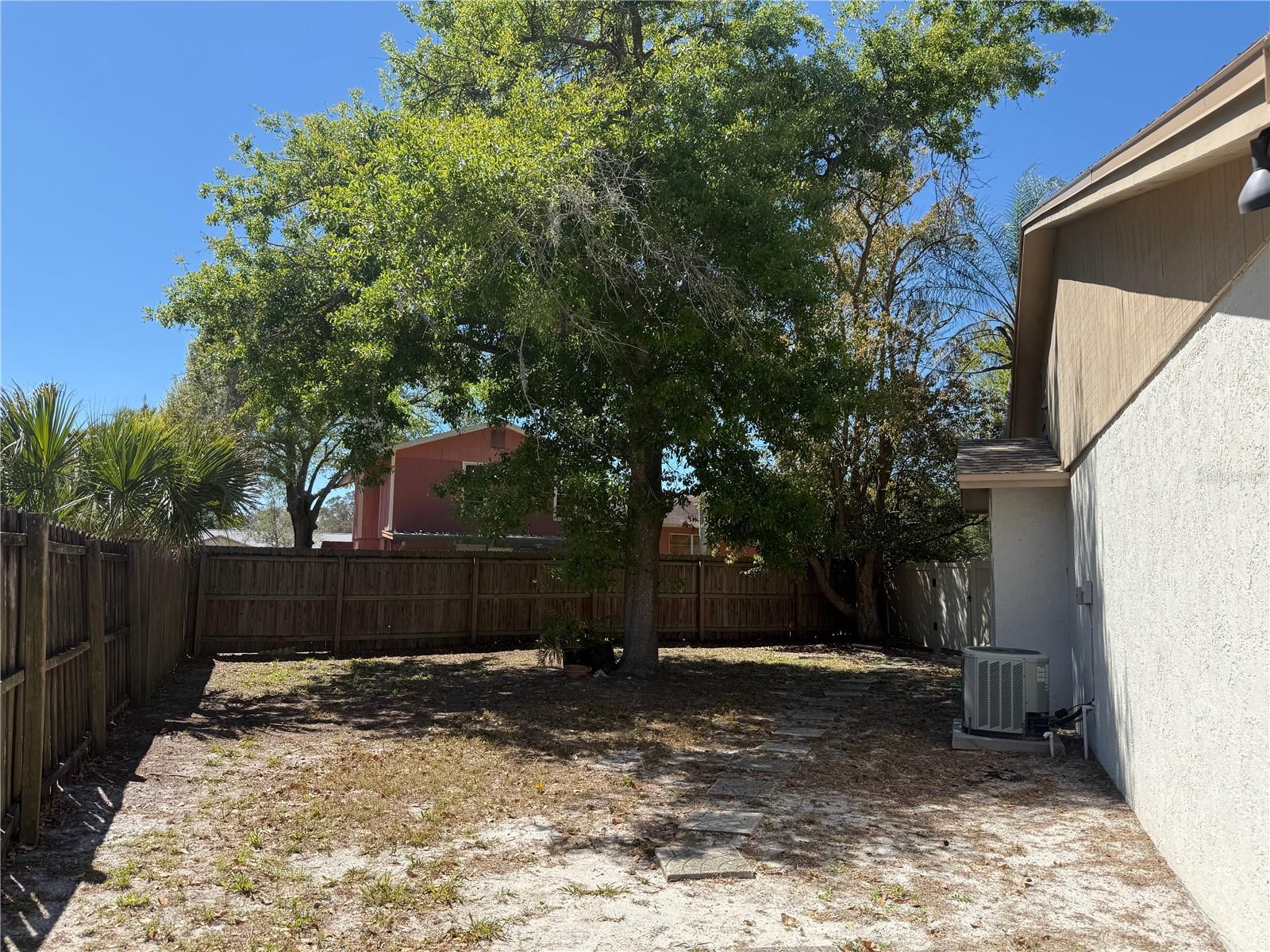 Backyard