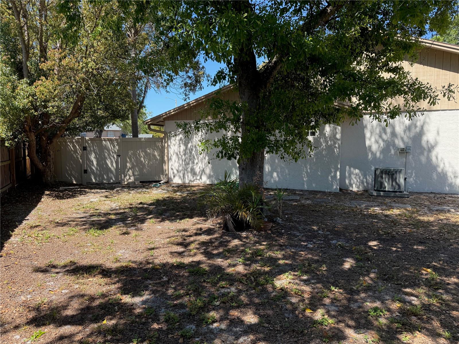 Backyard