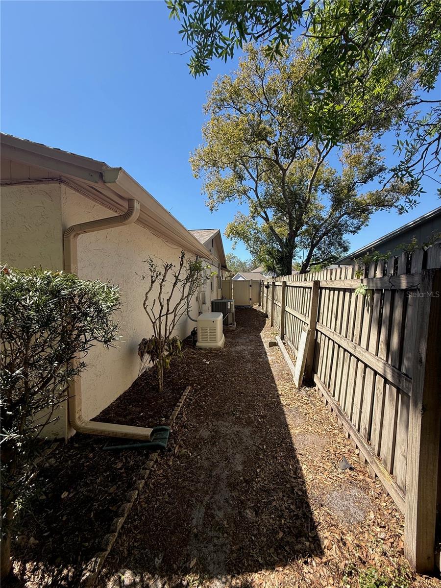 Backyard