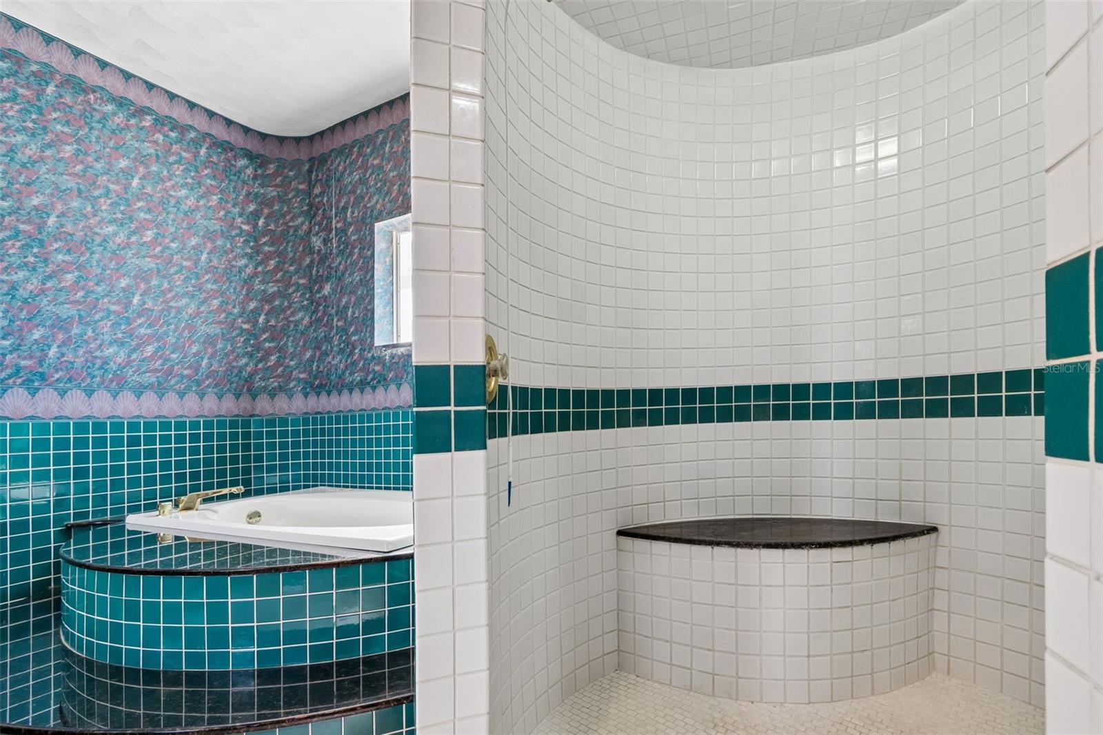 Master Bath and Shower