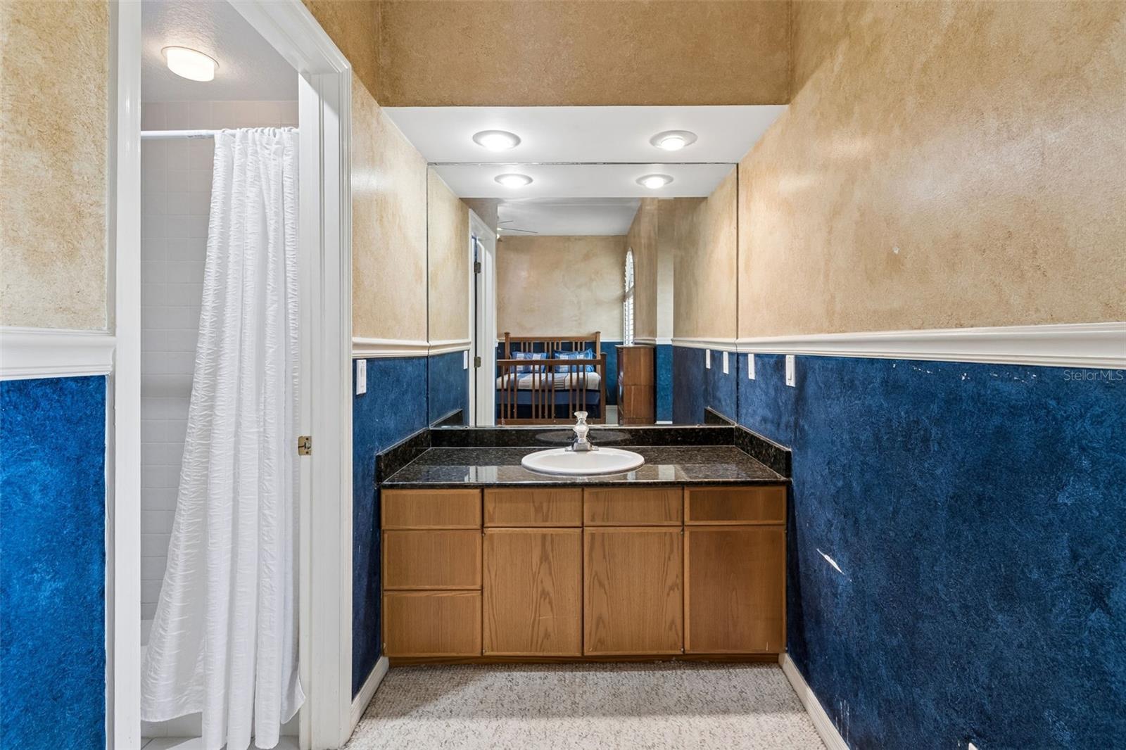 Split Jack and Jill Bathroom