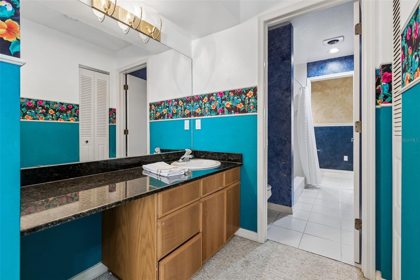 Split Jack and Jill Bathroom