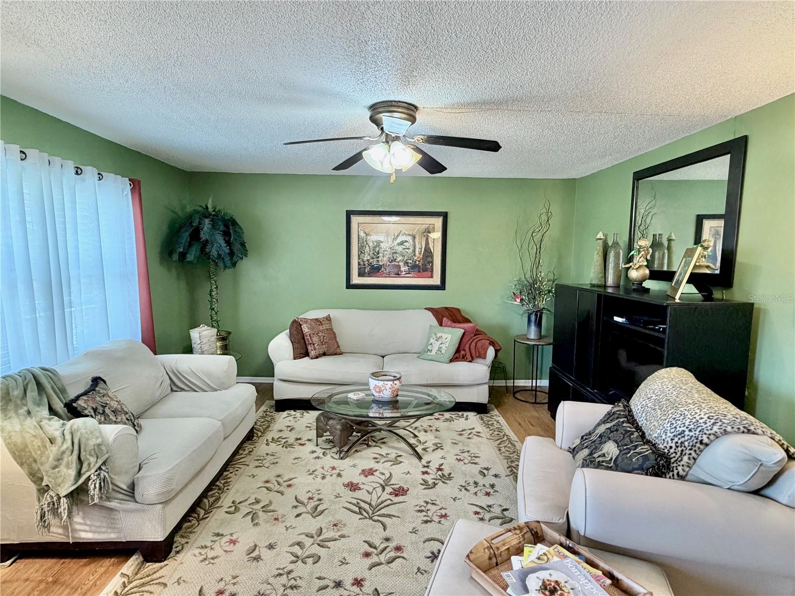 Living room with ceiling fan.