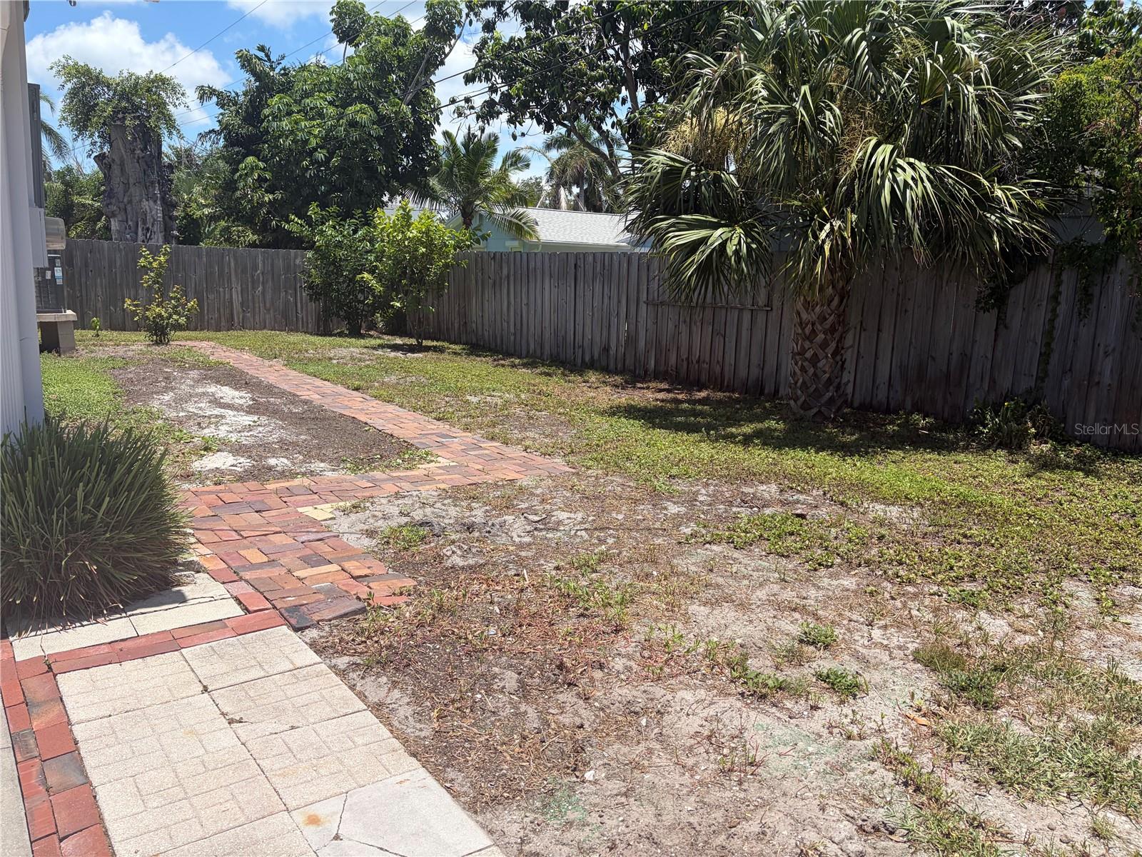 Back Yard