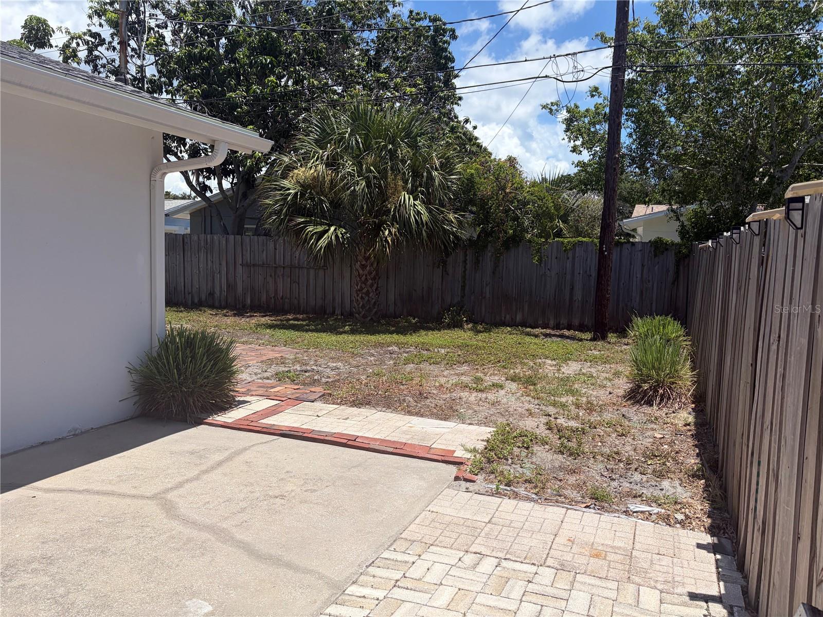Patio/Back Yard