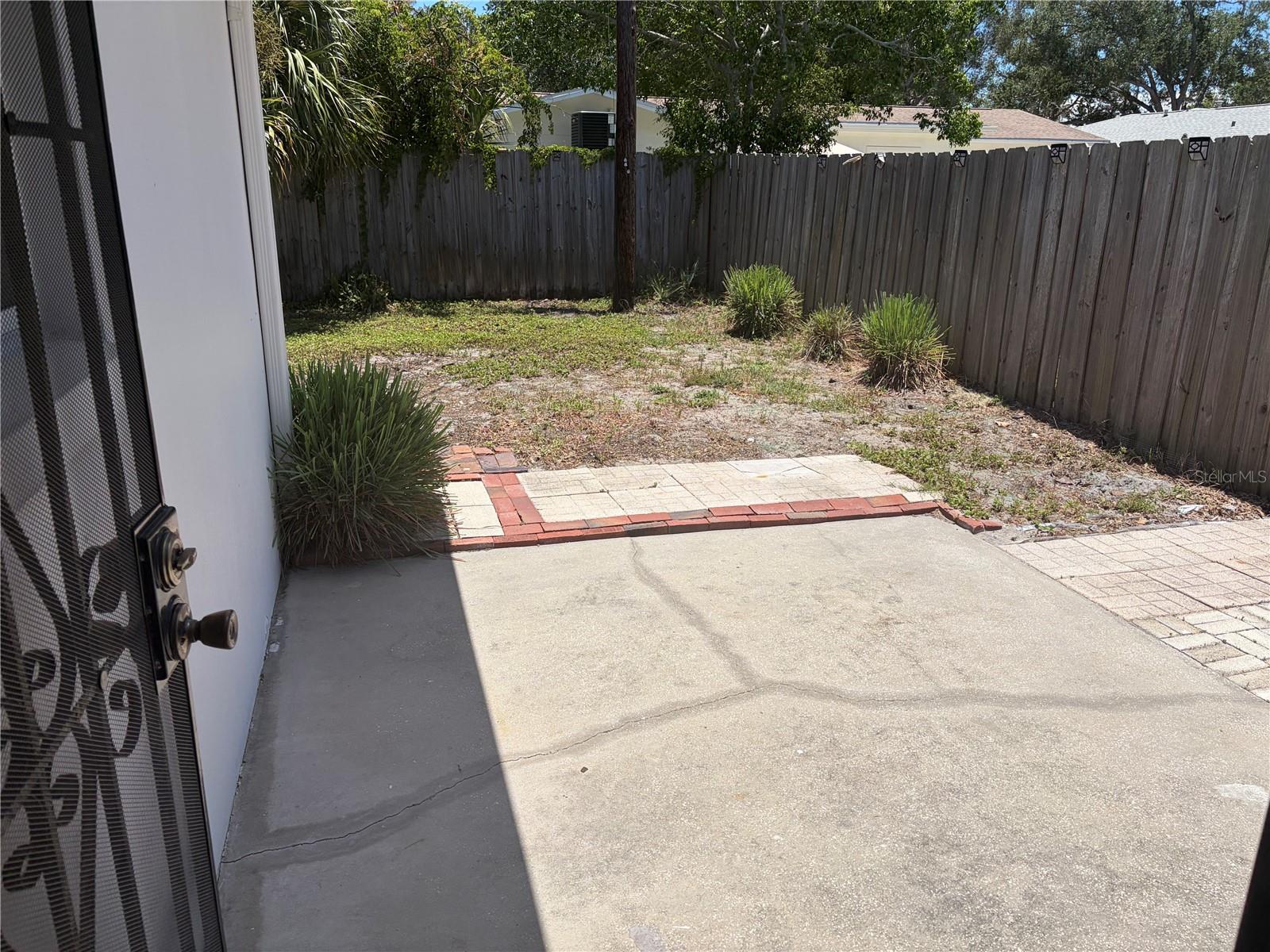 Patio/Back Yard