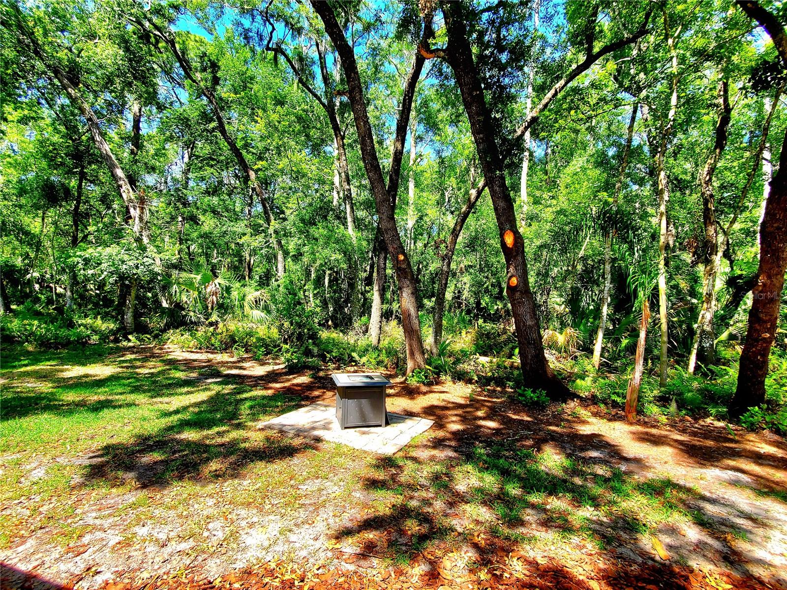 BROOKER CREEK PRESERVE