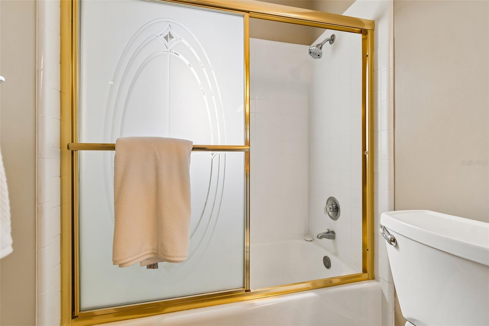 tub/ shower bathroom 2