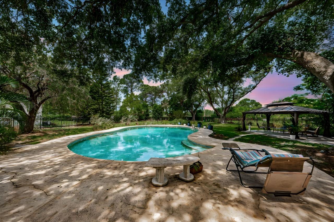 Large pool and lanai