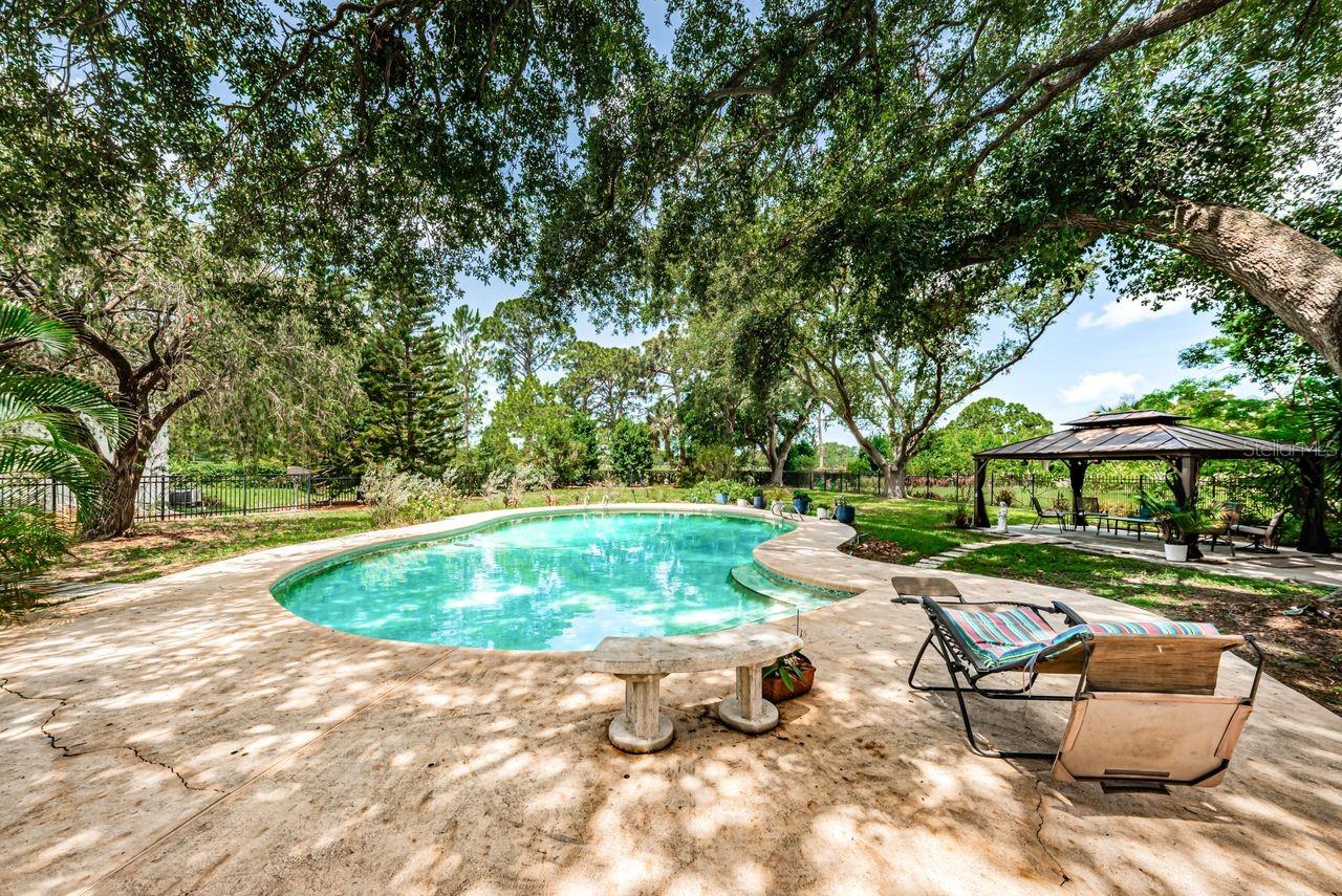 Nice big pool and pool area
