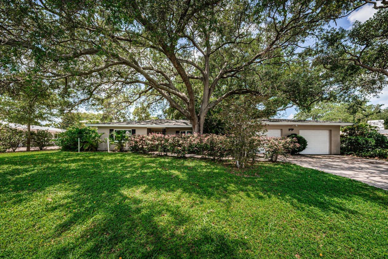 Front of house with mature landscaping