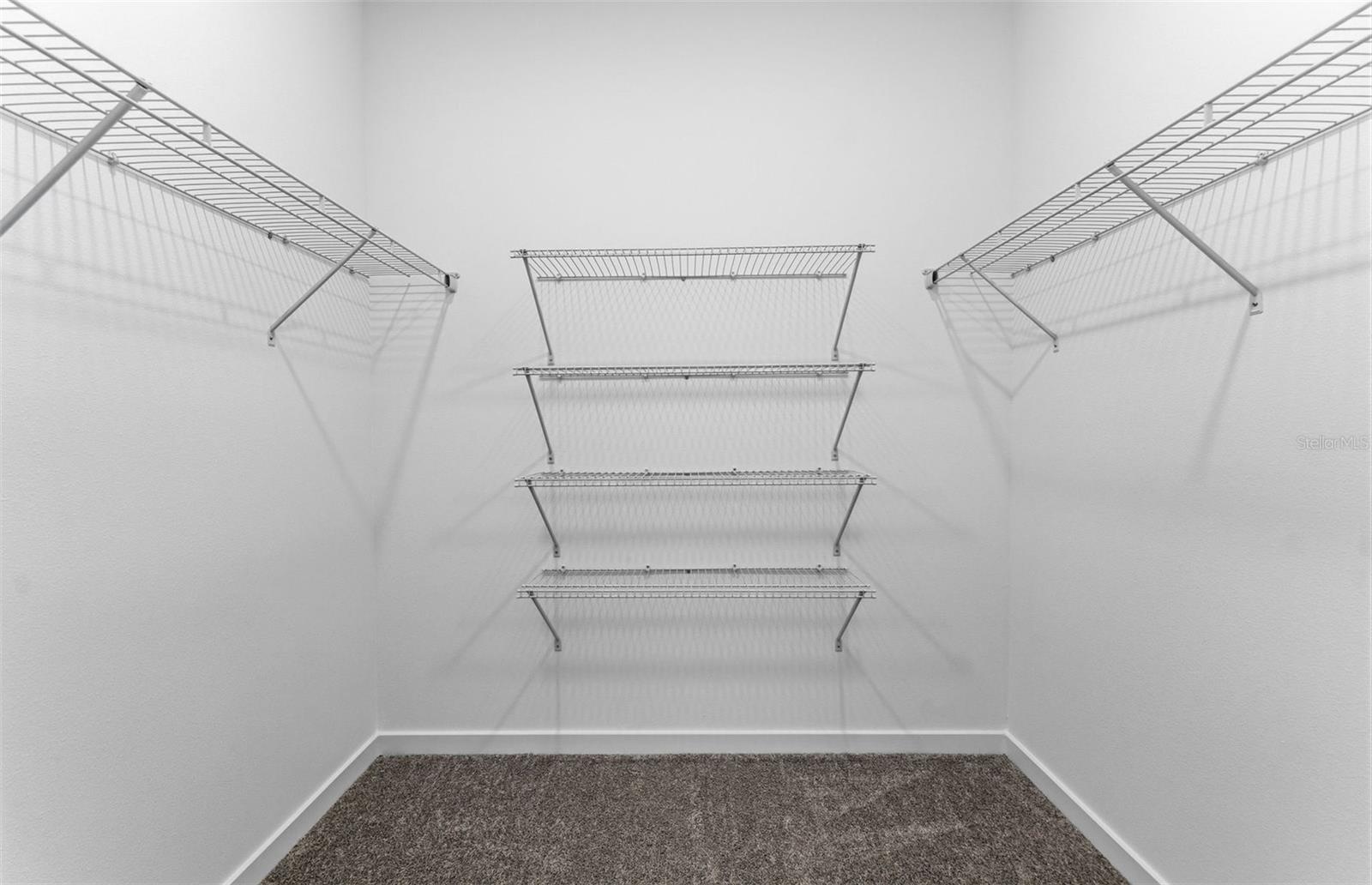 Model Representation