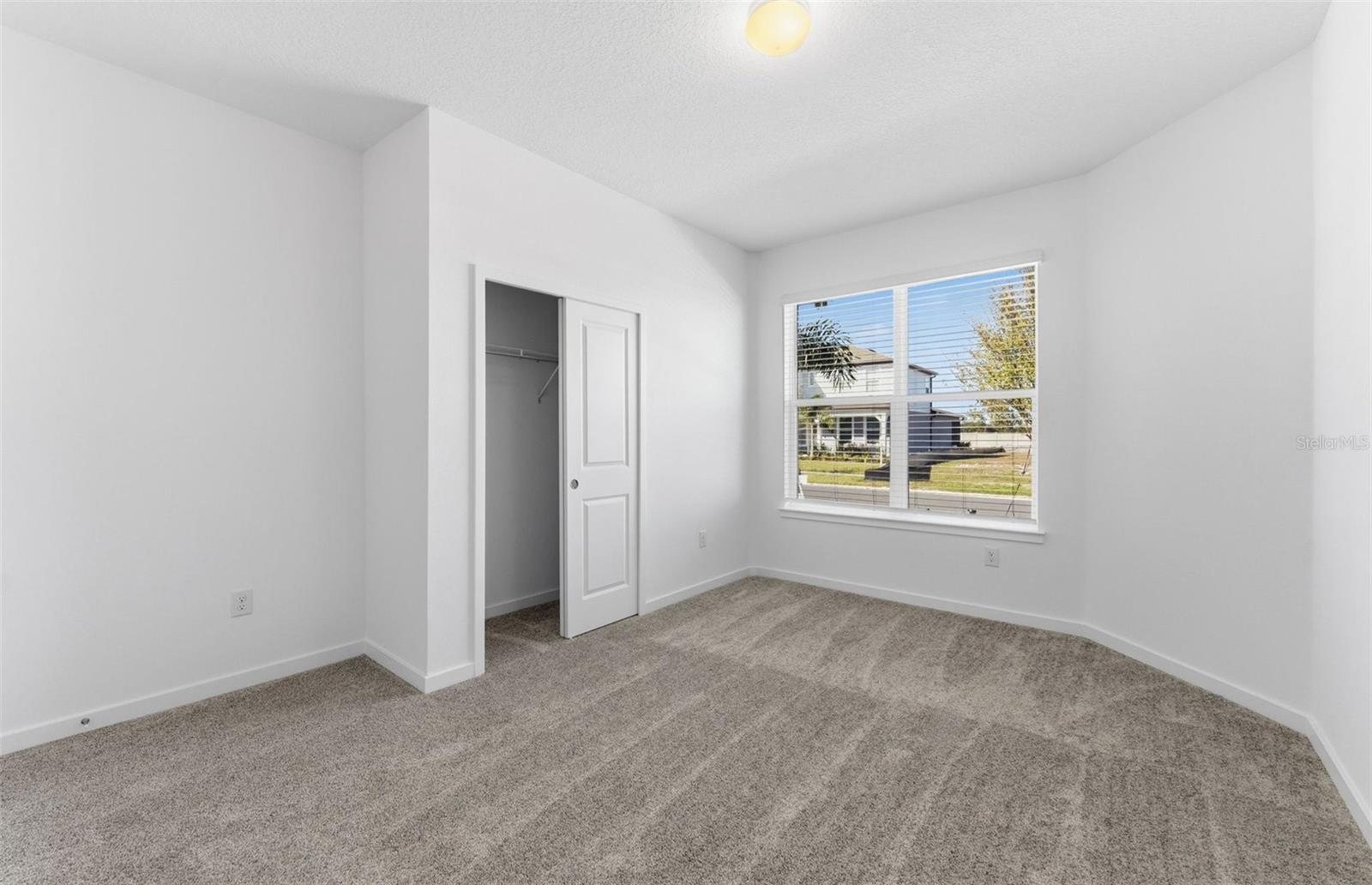 Model Representation