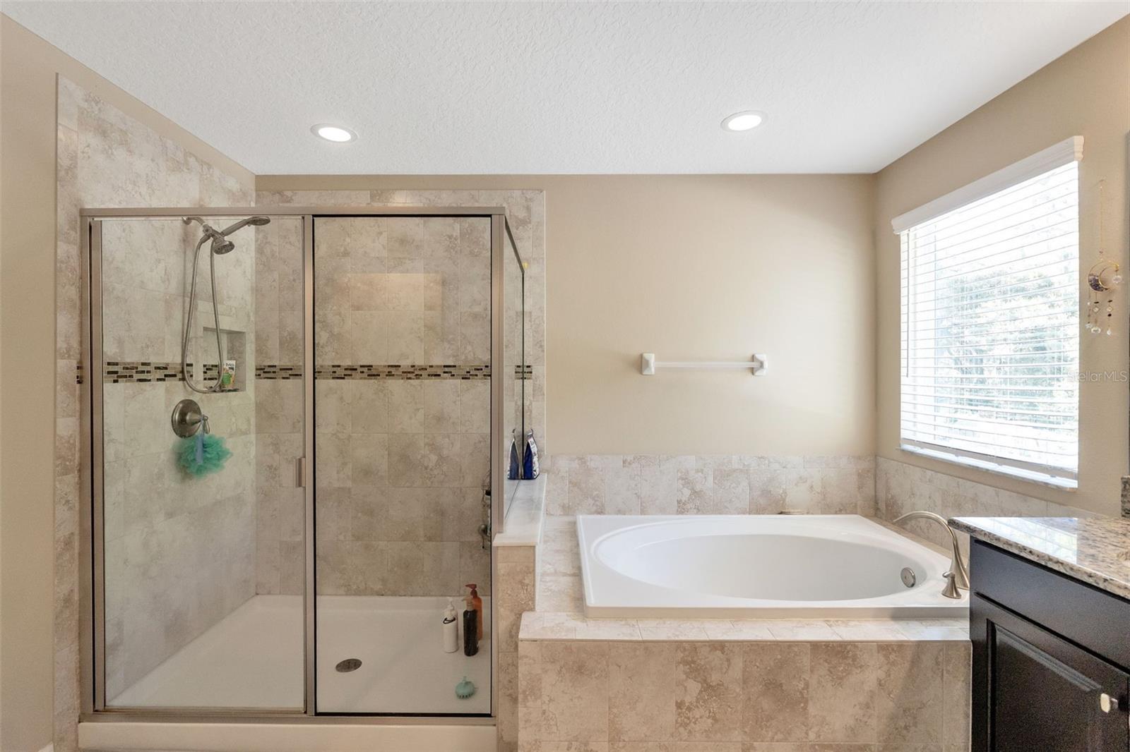 Owner's suite bathroom