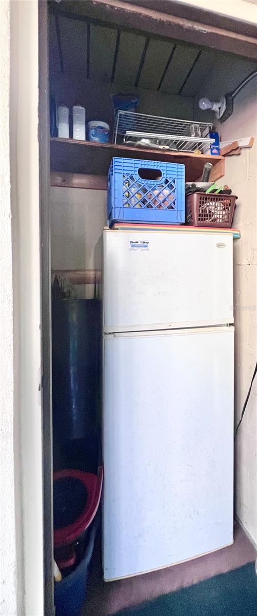 Storage on Lanai with 2nd refrigerator