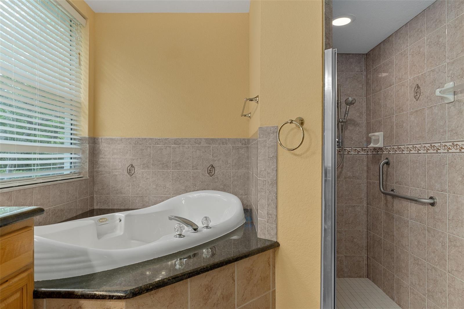 There is a Jetted Tub and Beautiful Step-In Shower in the Master Bathroom
