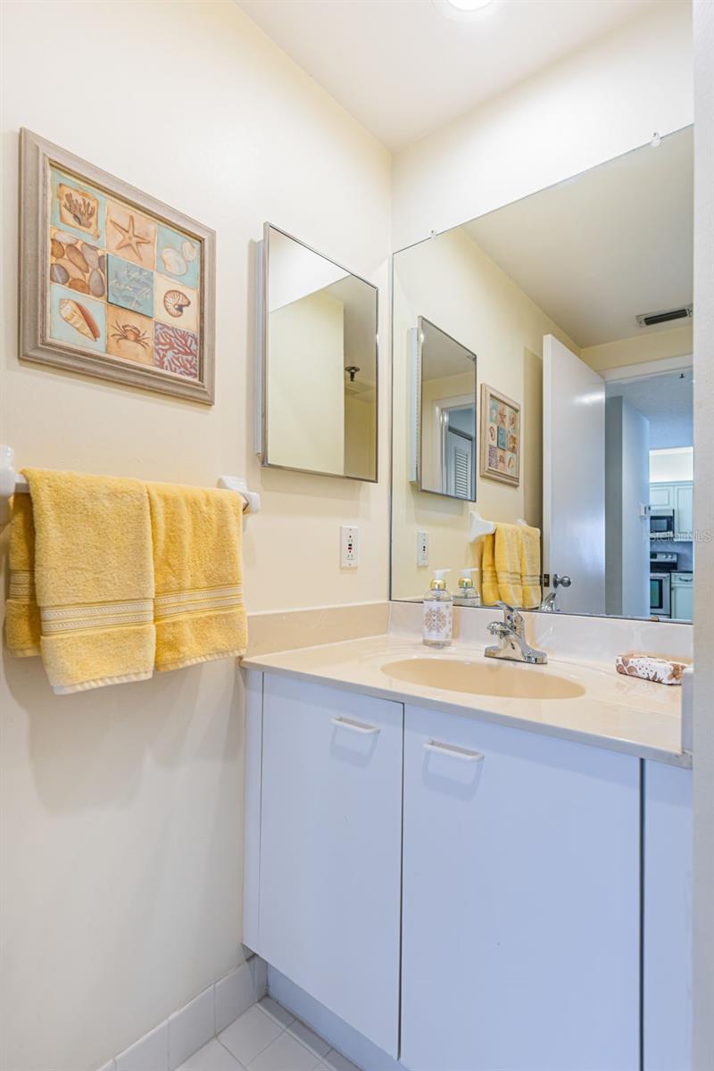 Guest Bath with Shower