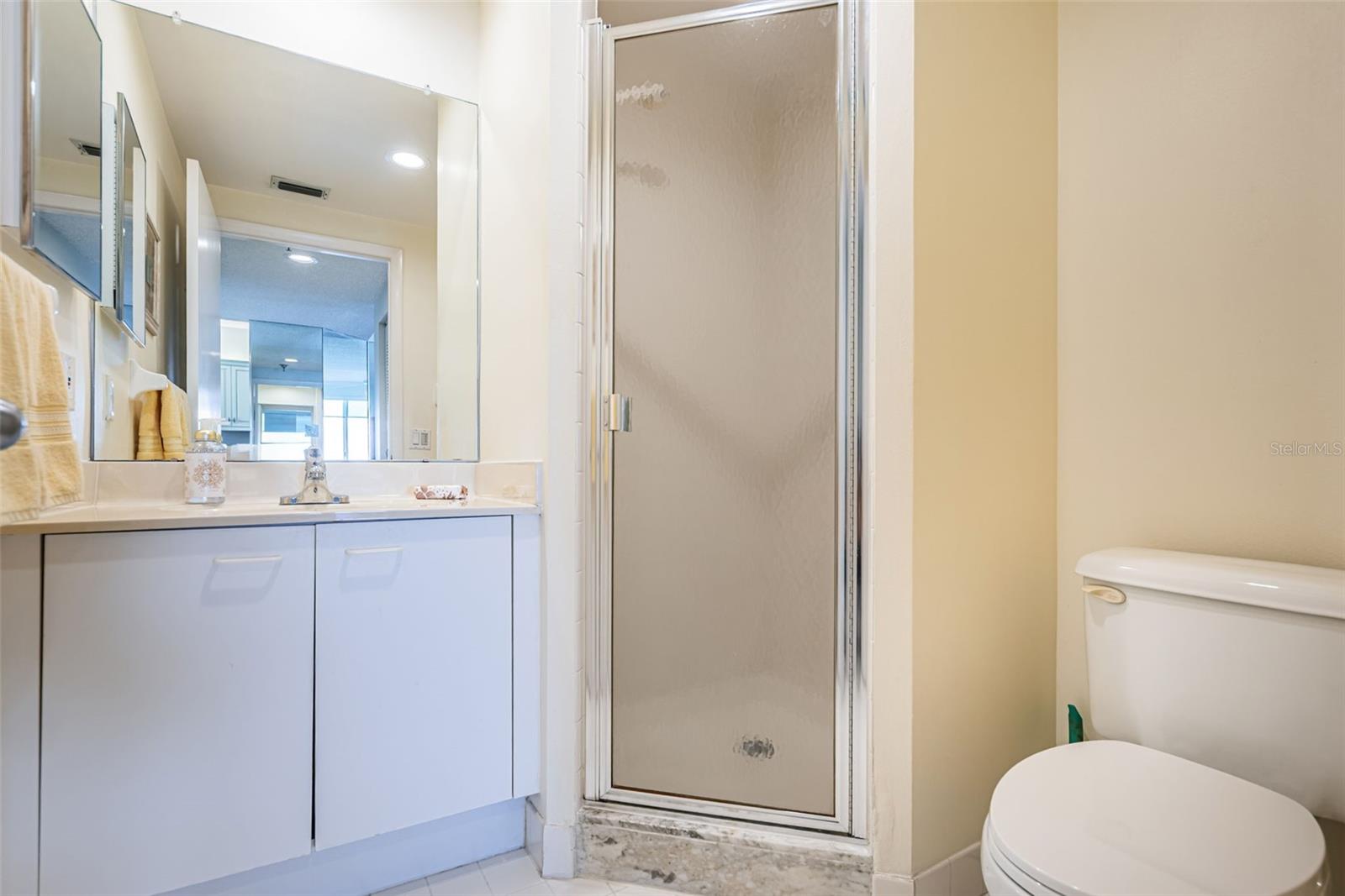 Guest Bath with Shower