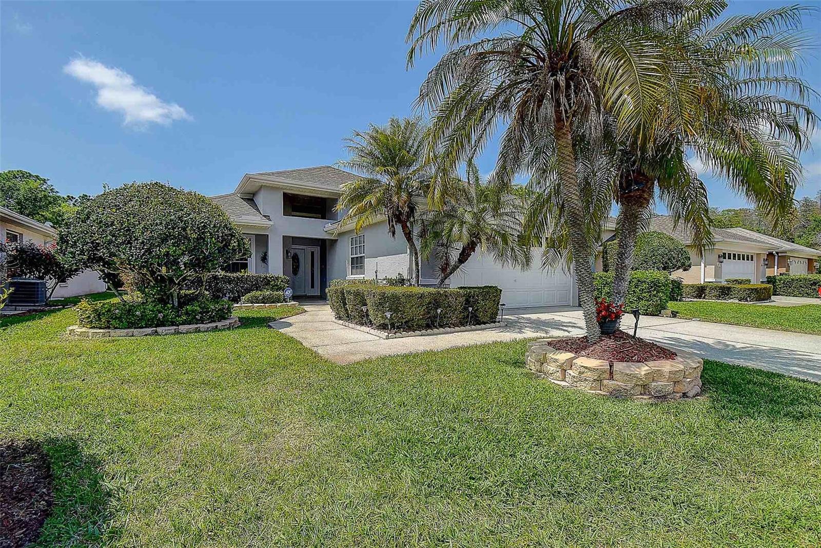 Beautiful Florida palms with added landscape.