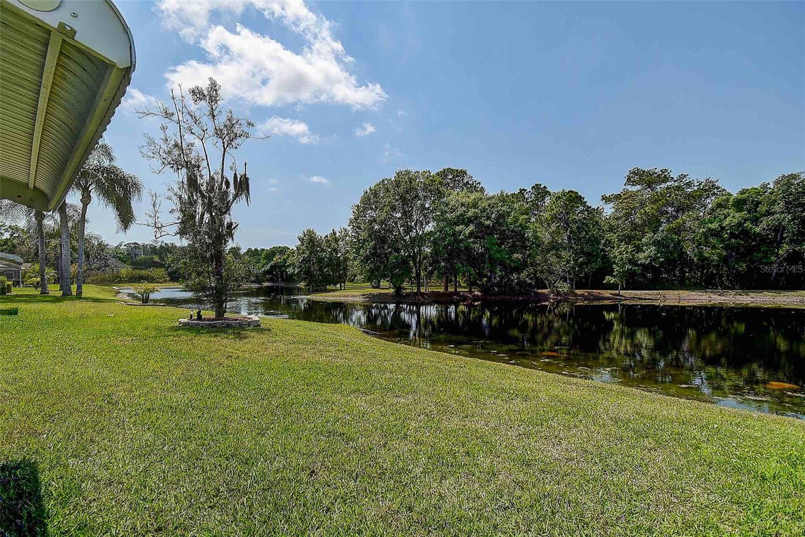 Beautiful tree lined community with pond view, and far distant view towards Brooker Creek Preserve.