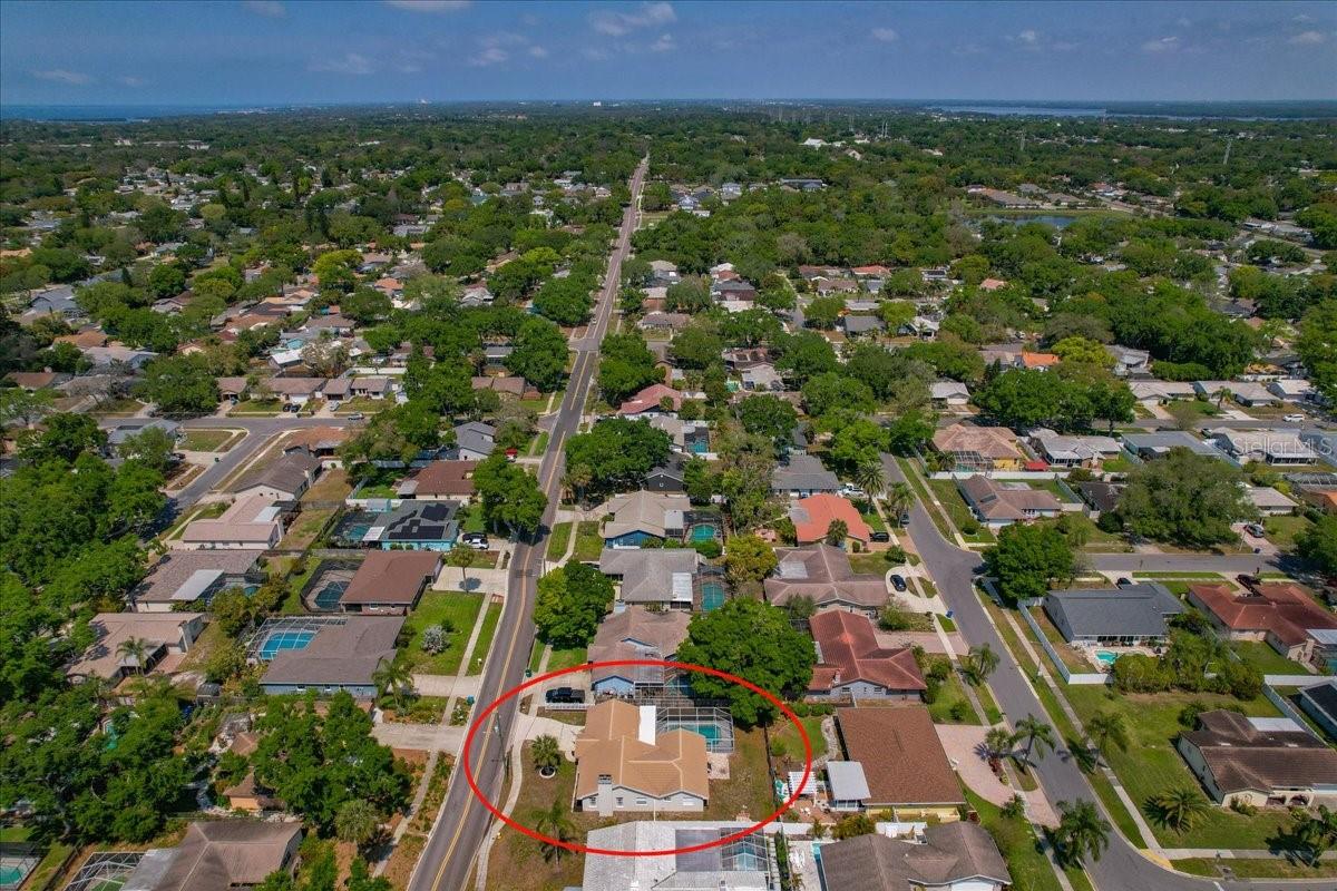 GOLF CART TO DOWNTOWN PALM HARBOR!
