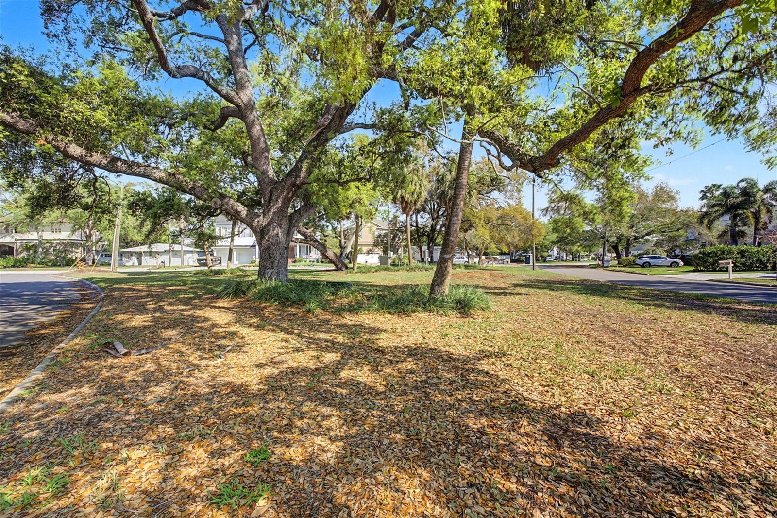 Green space across the street from property