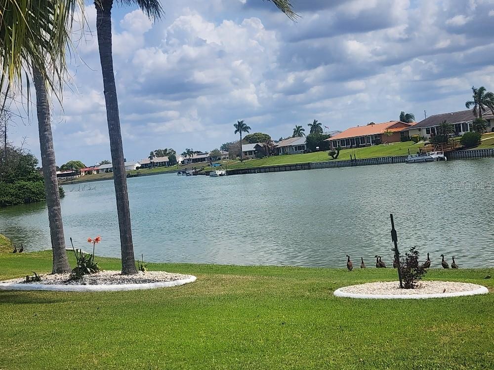 back yard view of lake