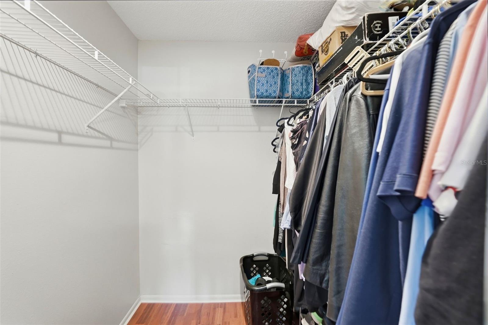 downstairs bedroom walk in closet