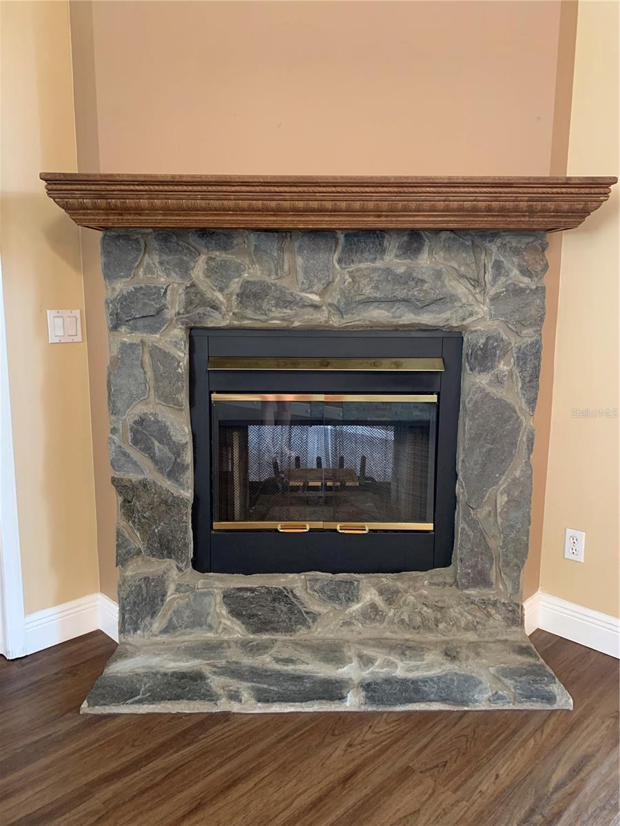Living Room fire pLace