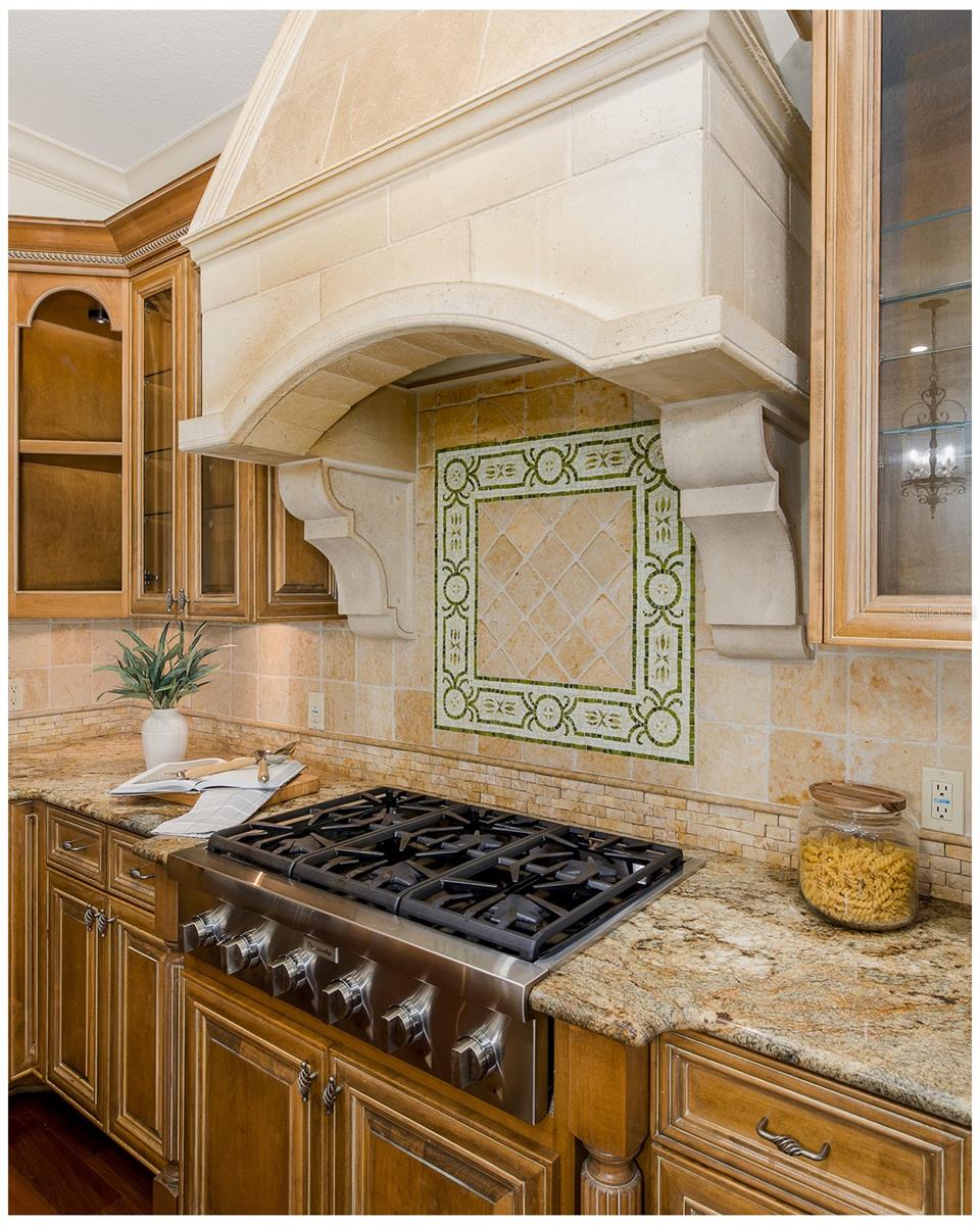 Cook-top w/Custom Hood