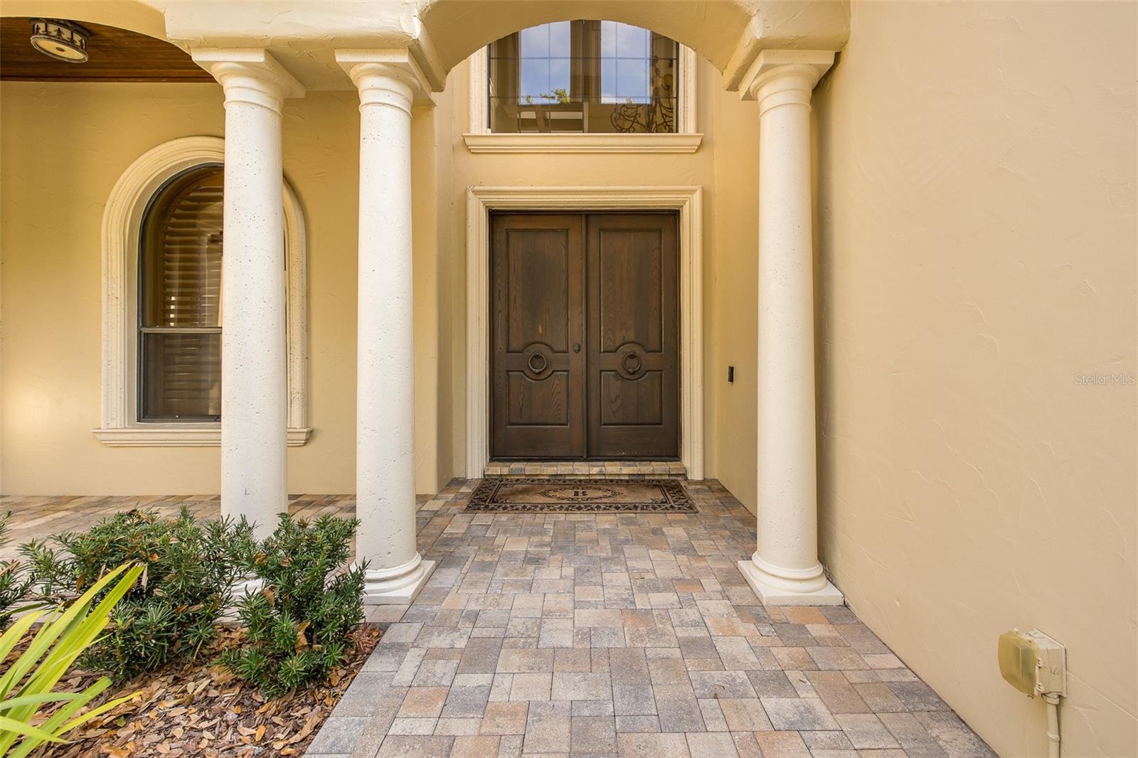 Elegant Wood Front Doors