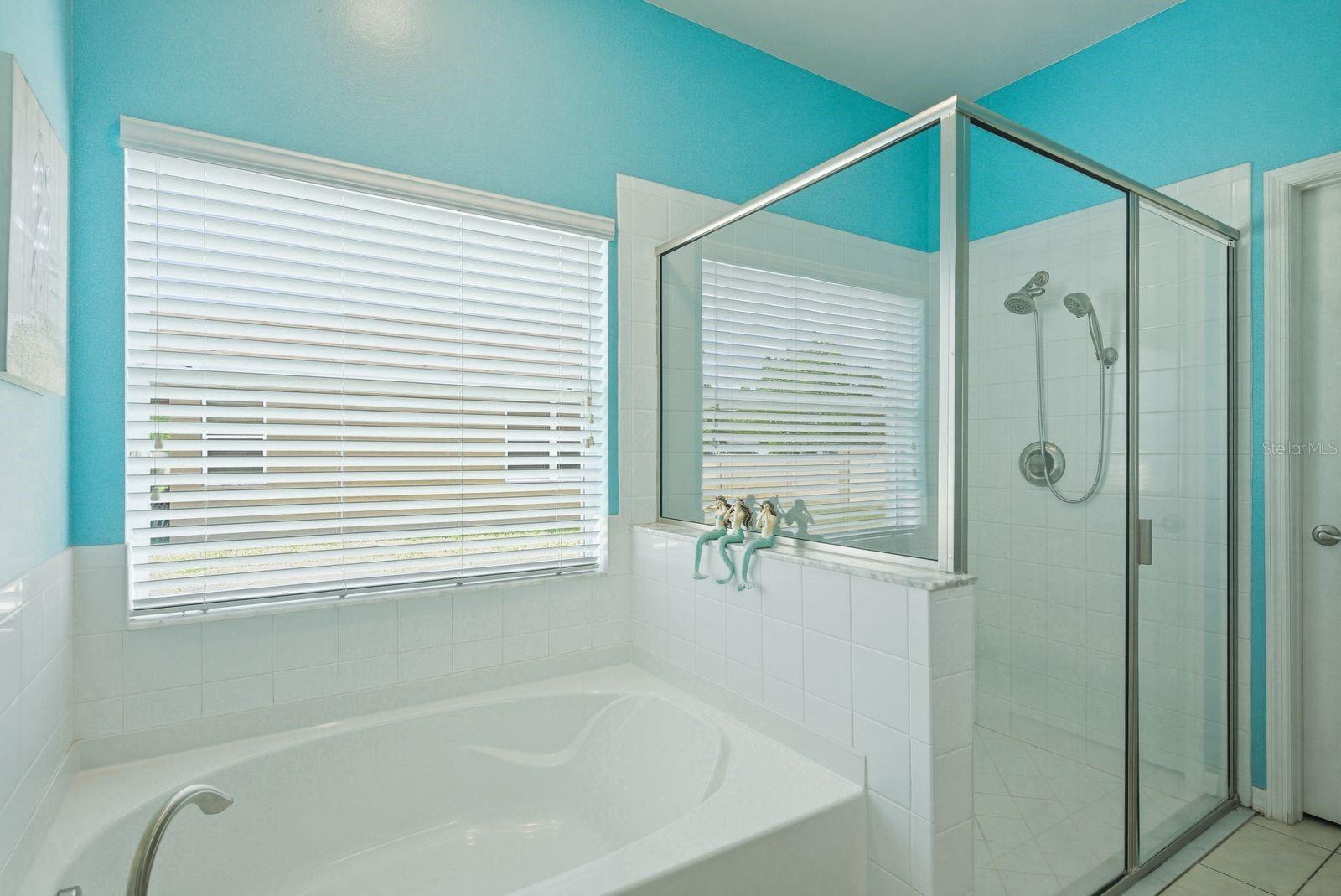 Primary Soaker Tub and Separate Shower Stall