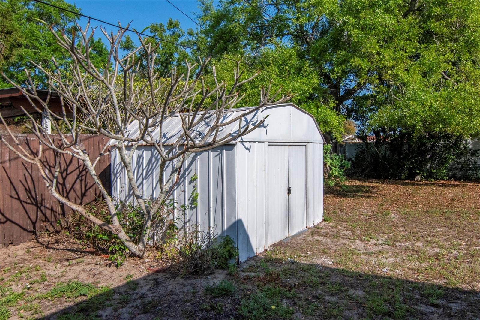 Shed in the backyard.
