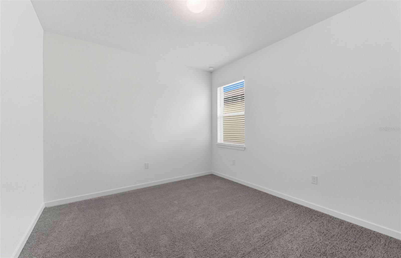 Model Representation