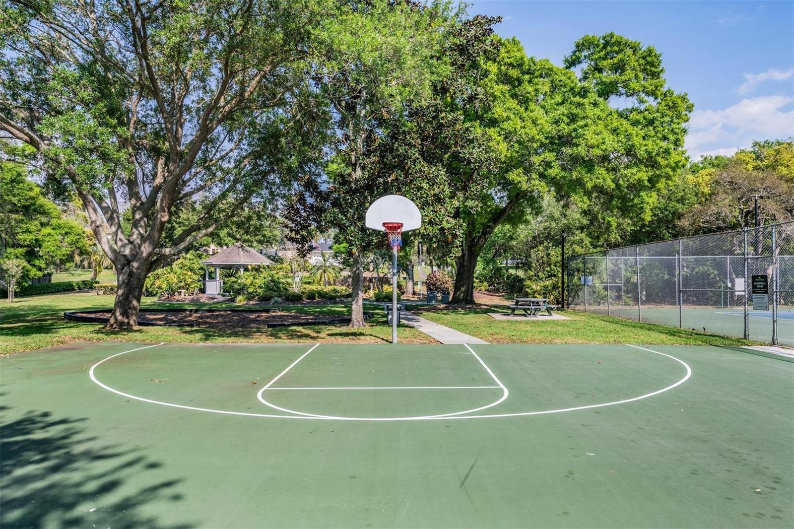 basketball court