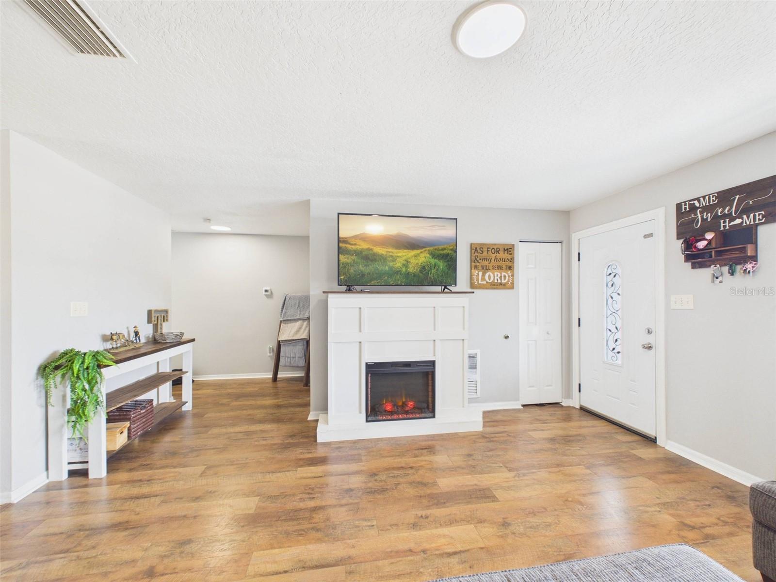 Living room with electric fire place