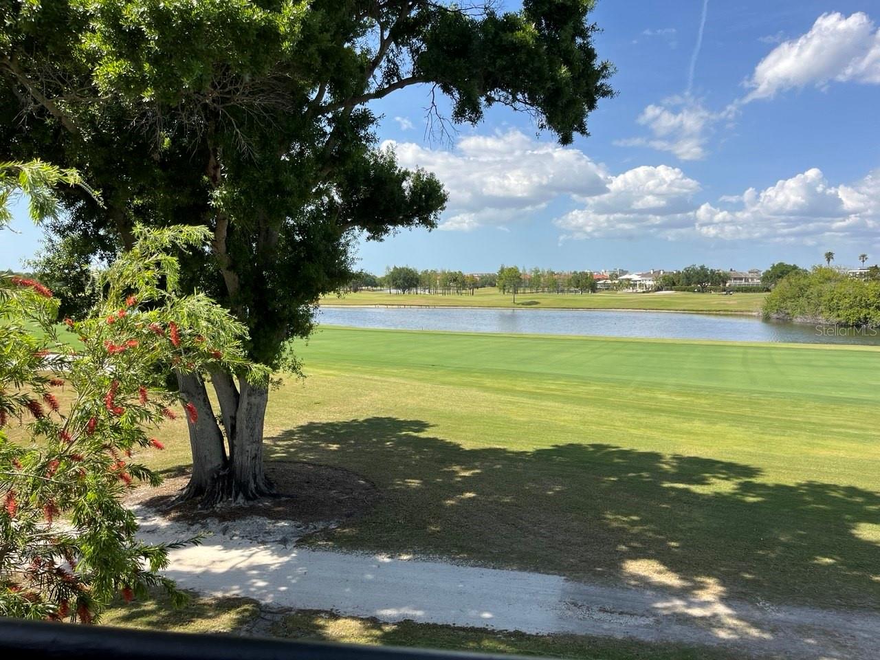 Gorgeous Views from Living Room & Bonus Room