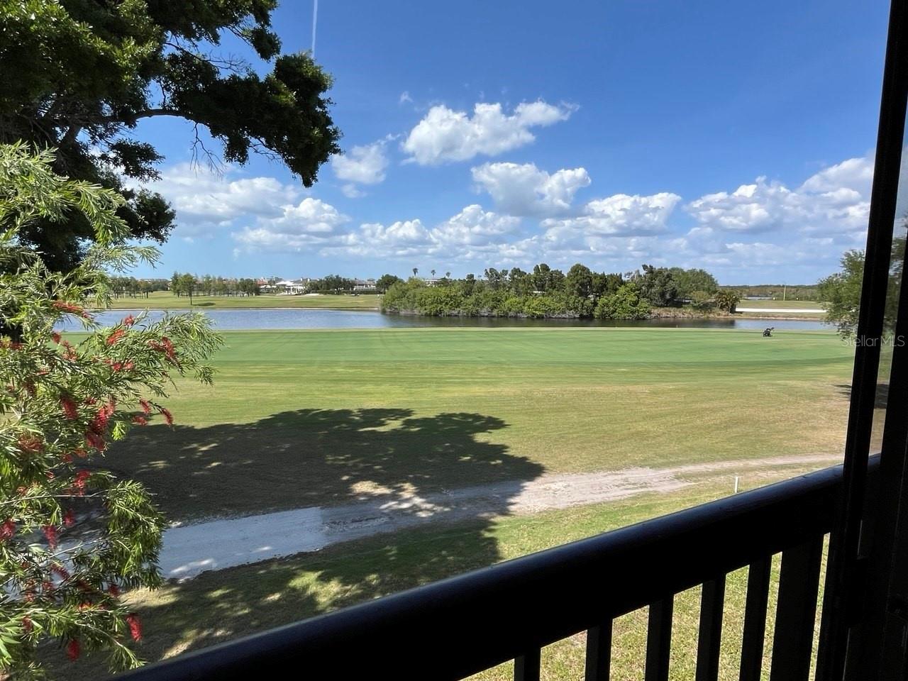 Gorgeous Views from Living Room & Bonus Room