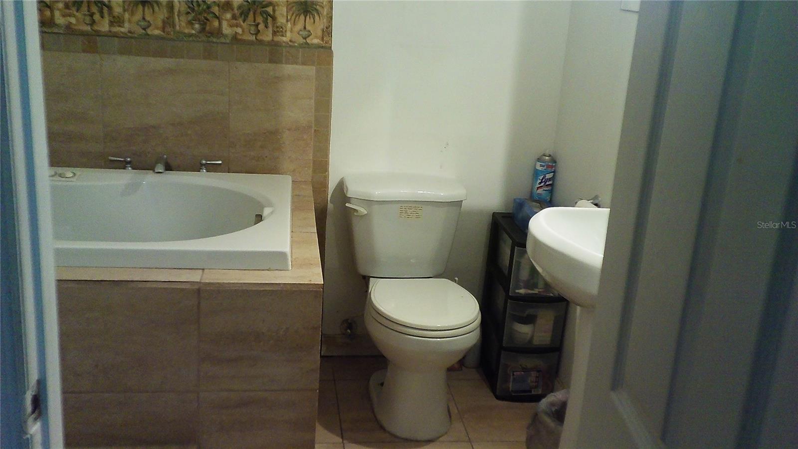 Jacuzzi Tub in Master Bathroom