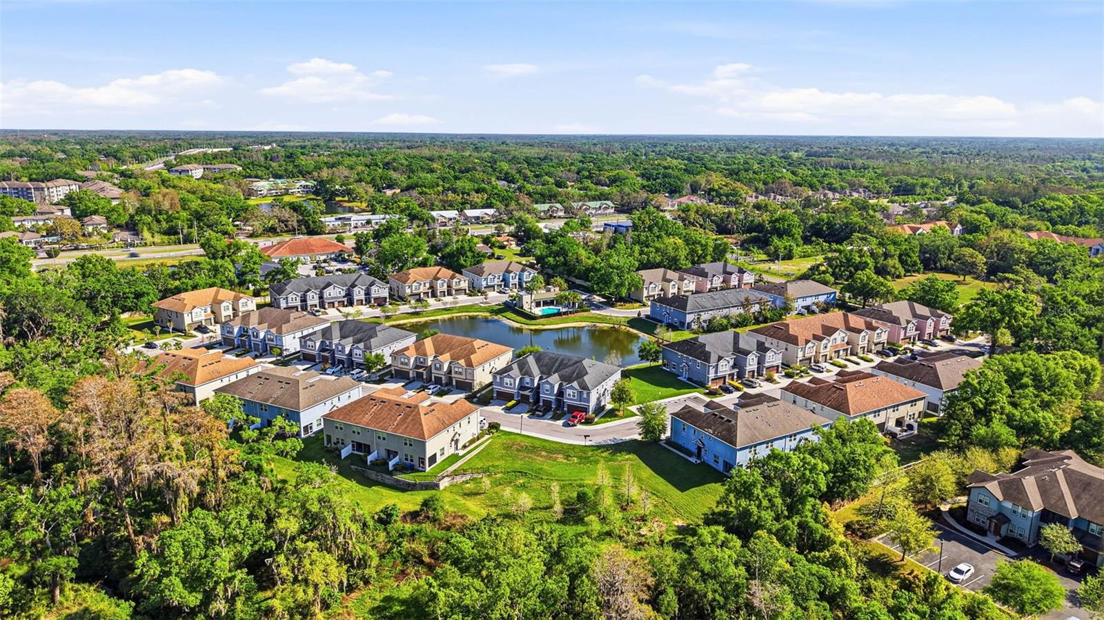 Arial View - community