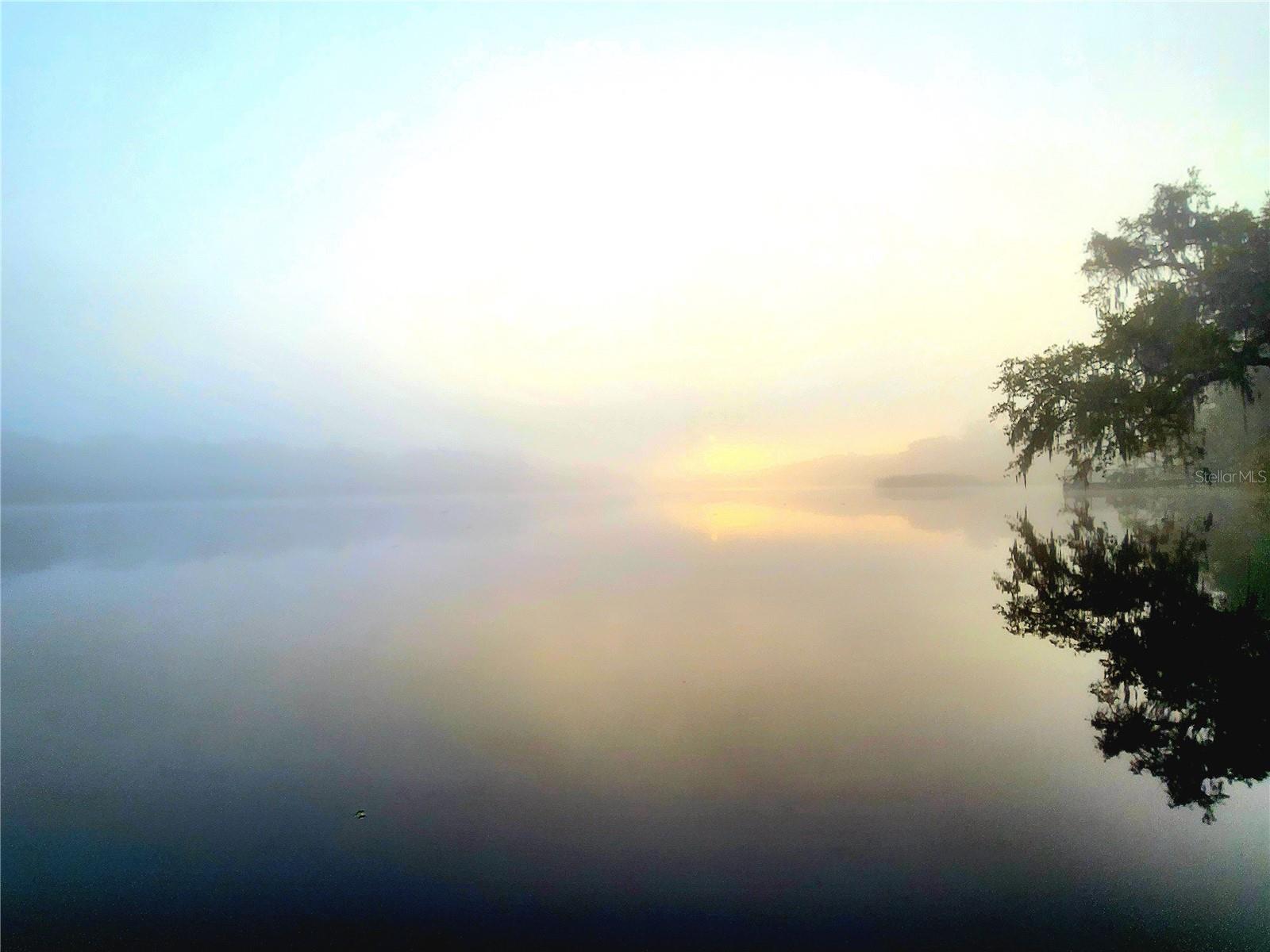 foggy morning
