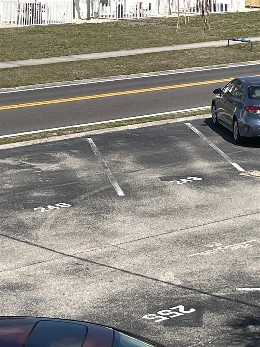 Designated Parking Spot 243