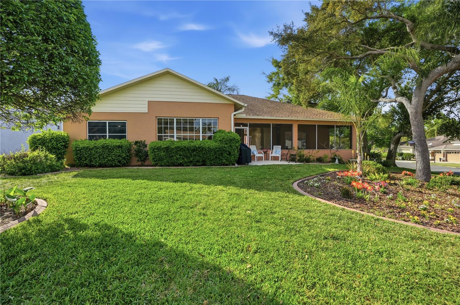 East facing backyard.