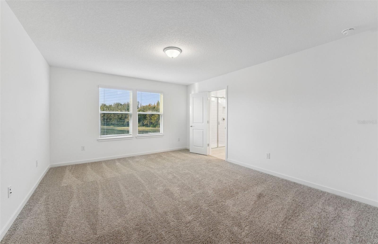 Model Representation