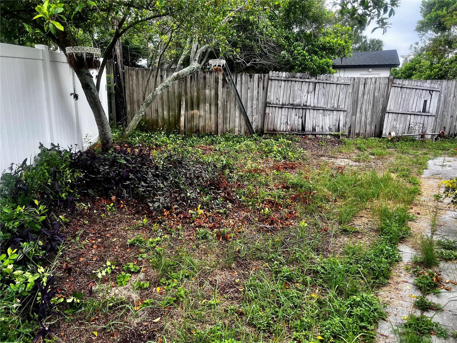 Fenced in Back Yard