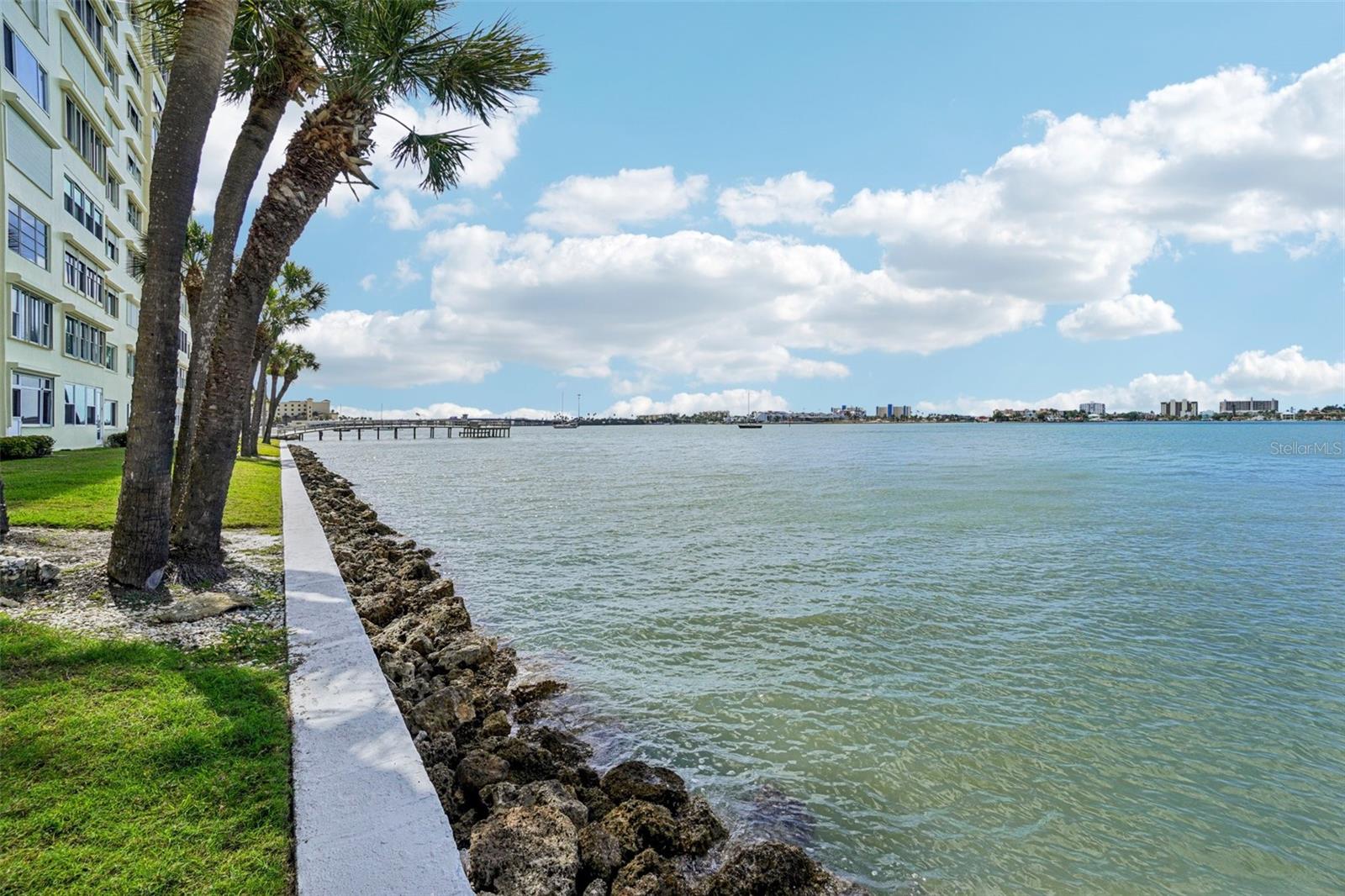 Waterfront Seawall & Community Grounds – Step outside and enjoy direct waterfront living — the community's manicured seawall walkway is lined with mature palm trees and offers sweeping open-water views, with a distant pier and coastal skyline adding to the quintessential Florida backdrop.