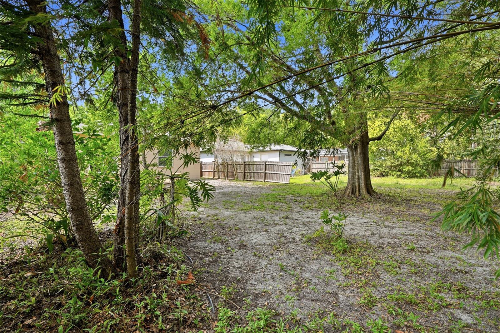 Back Yard with Mature Trees