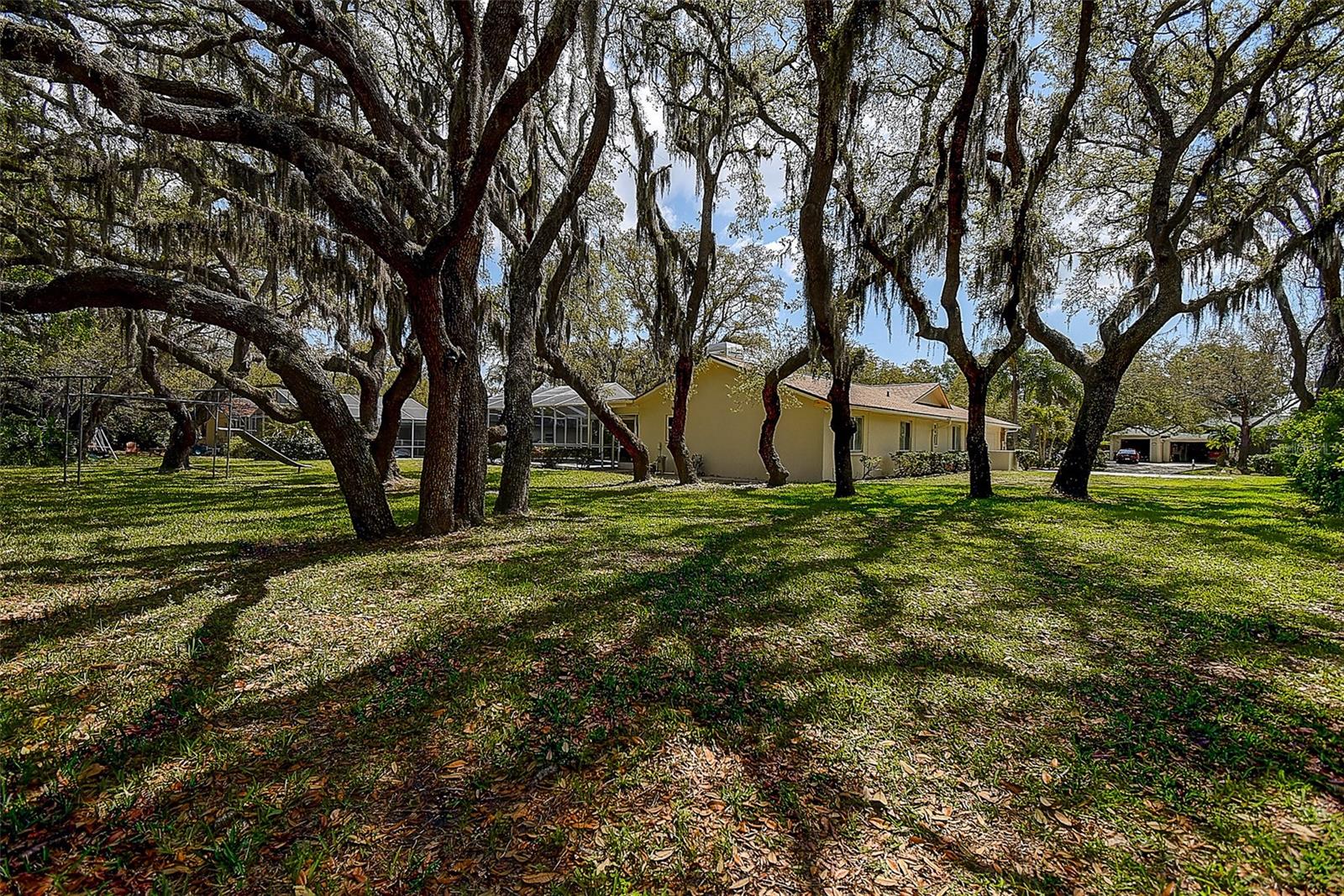 Spacious nearly 1/2 acre backyard