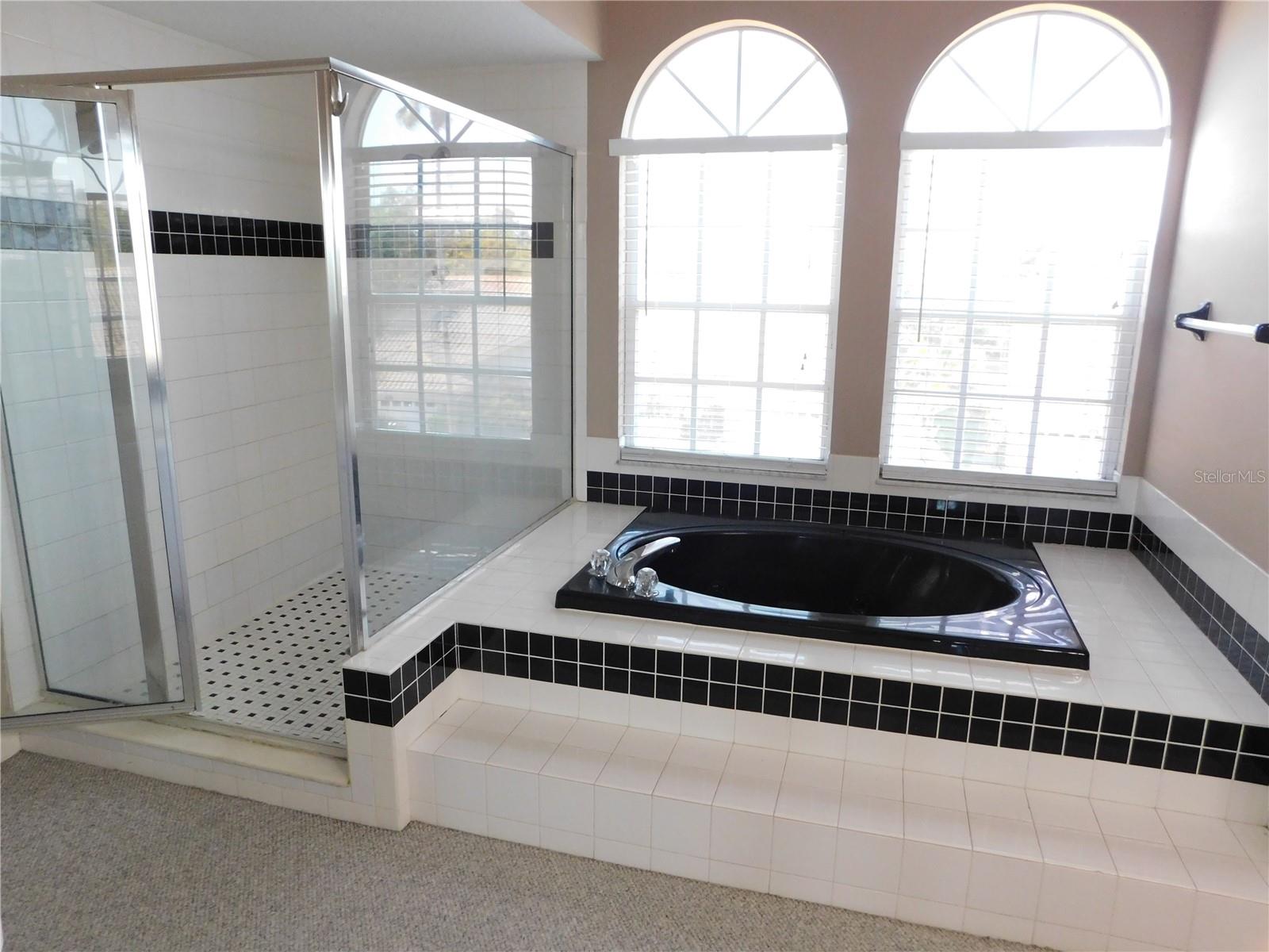 Primary bath has soaking tub and large shower